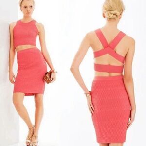 Jonathan Simkhai Hex Fence Pink Sleeveless Knit Crop Top Women's Size XS